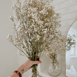 Natural Preserved Baby's Breath Bundles