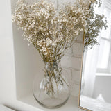 Natural Preserved Baby's Breath Bundles