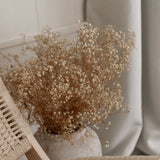 Natural Preserved Baby's Breath Bundles